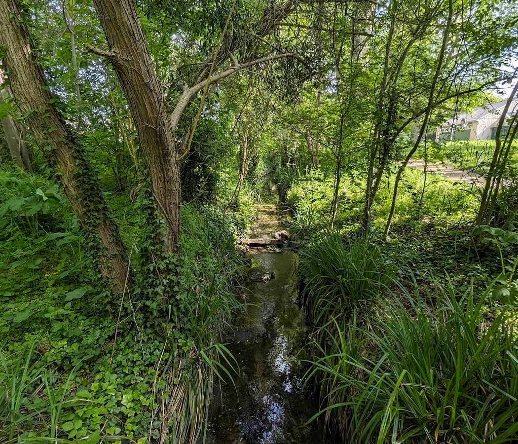 Promenade de la Plaine de Montjean 3